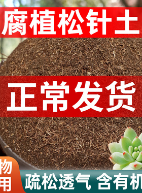 天然松针腐殖土腐叶土发酵腐熟兰花多肉专用营养土养花专用通用土