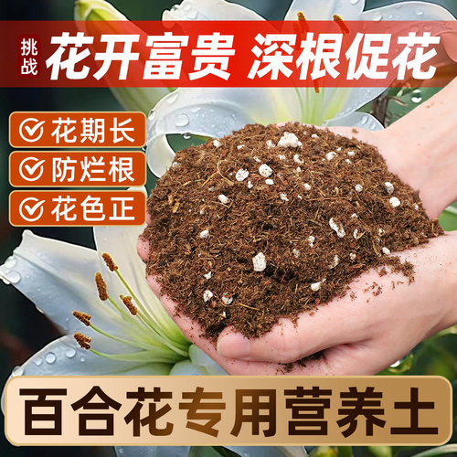 百合花专用营养土泥炭通用家用