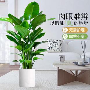 天堂鸟仿真绿植高端轻奢仿生花客厅大型盆栽落地摆件造景树假植物