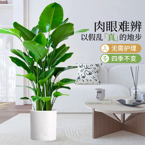 天堂鸟仿真绿植高端轻奢仿生花客厅大型盆栽落地摆件造景树假植物
