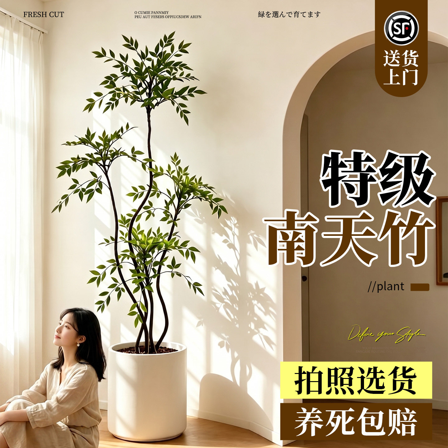 南天竹盆栽客厅大型植物绿植高级感真树办公室内高端落地大号盆景