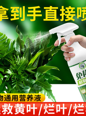 免稀释植物营养液通用型盆栽肥料室内绿植发财树养花卉叶面喷施肥