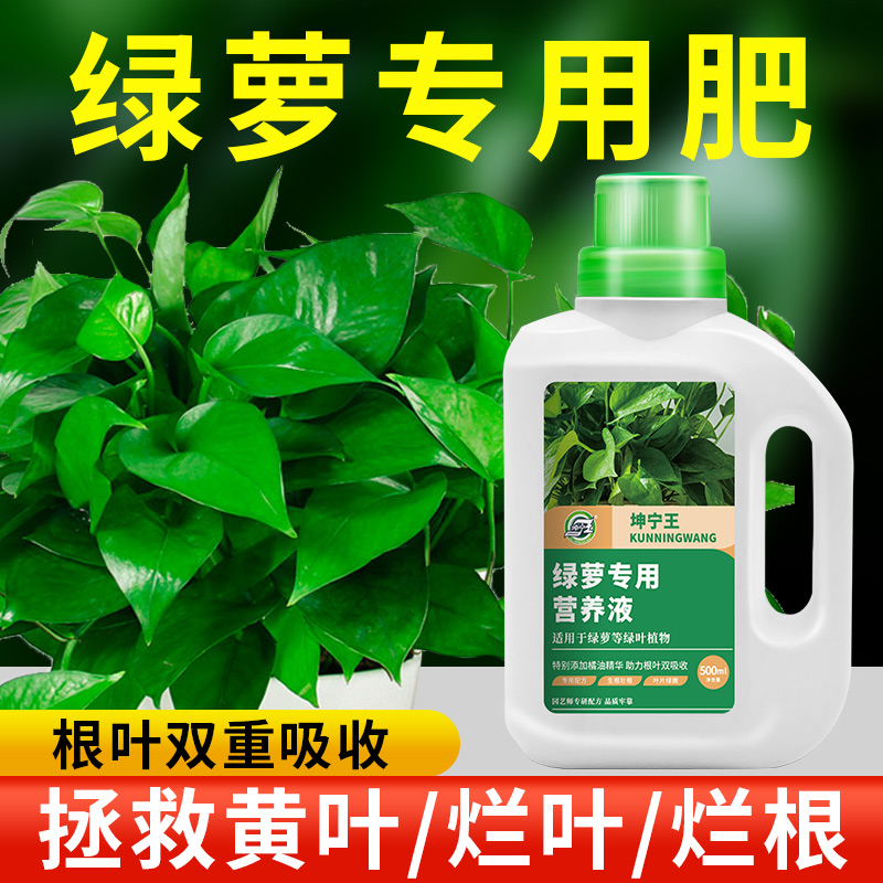 绿萝营养液肥料专用肥植物盆栽绿箩营业液花肥料家用土水培养花用