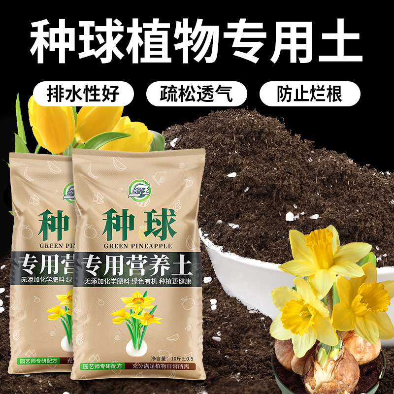 球根植物专用土排水性好拒绝烂根