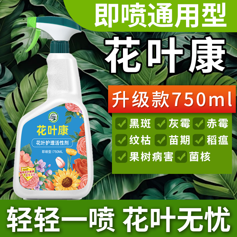 花叶康喷雾月季花植物活性剂月季花卉多肉灰霉叶斑黑斑白粉枯叶