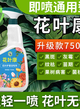 花叶康喷雾月季花植物活性剂月季花卉多肉灰霉叶斑黑斑白粉枯叶