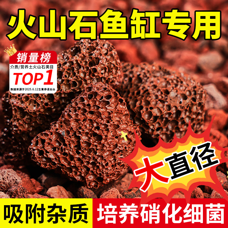 坤宁王火山石过滤清洗随拿随用