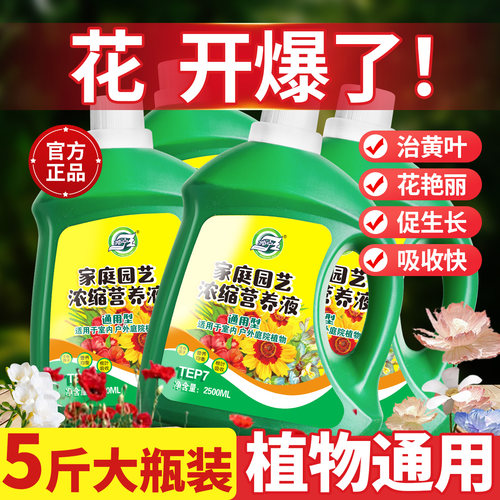 营养液植物通用型绿萝富贵竹发财树多肉水培养花卉绿植盆栽花肥料