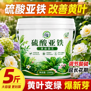硫酸亚铁肥料花卉专用酸性肥农用养茉莉花杜鹃栀子花桂花树水溶肥
