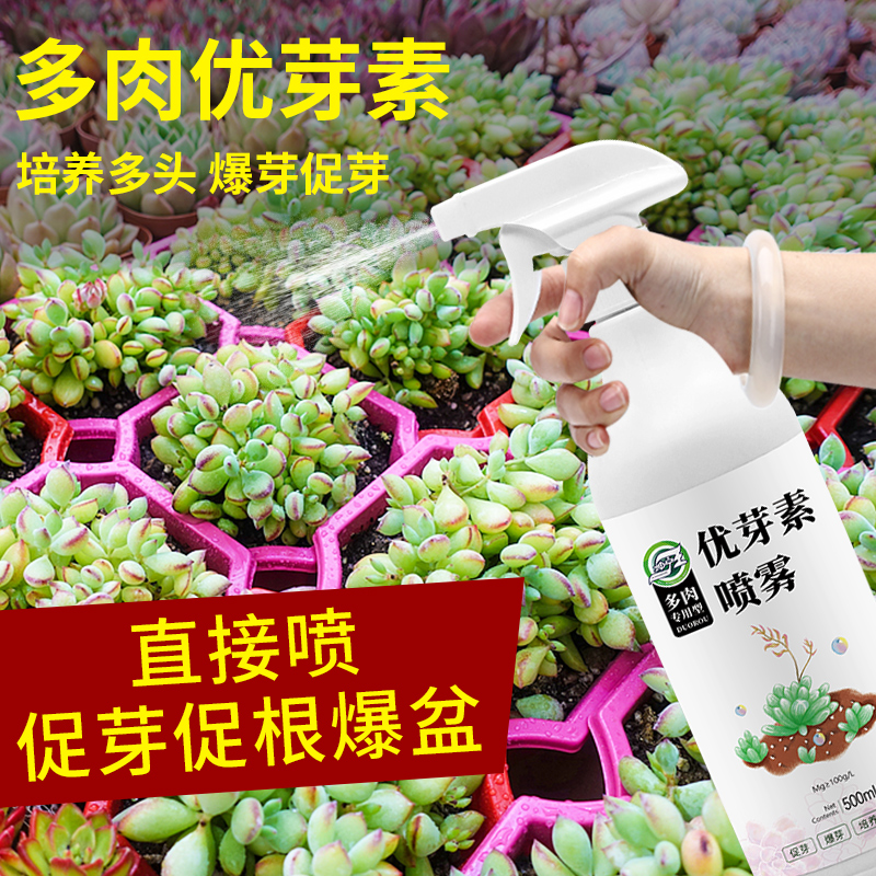 多肉催芽爆芽多头优芽素促群生