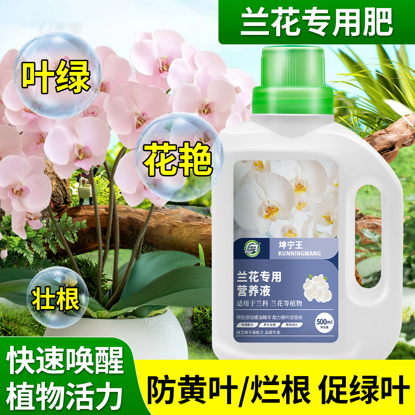 兰花专用植物营养液春兰君子兰花卉生长期肥料催花促长延长花期,鲜花速递/花卉仿真/绿植园艺,家庭园艺肥料,淘宝优惠券,粉丝福利购,淘宝优惠卷