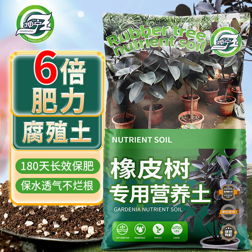 橡皮树专用土营养土家用客厅绿植专用土黑金刚橡皮树专用种植泥土