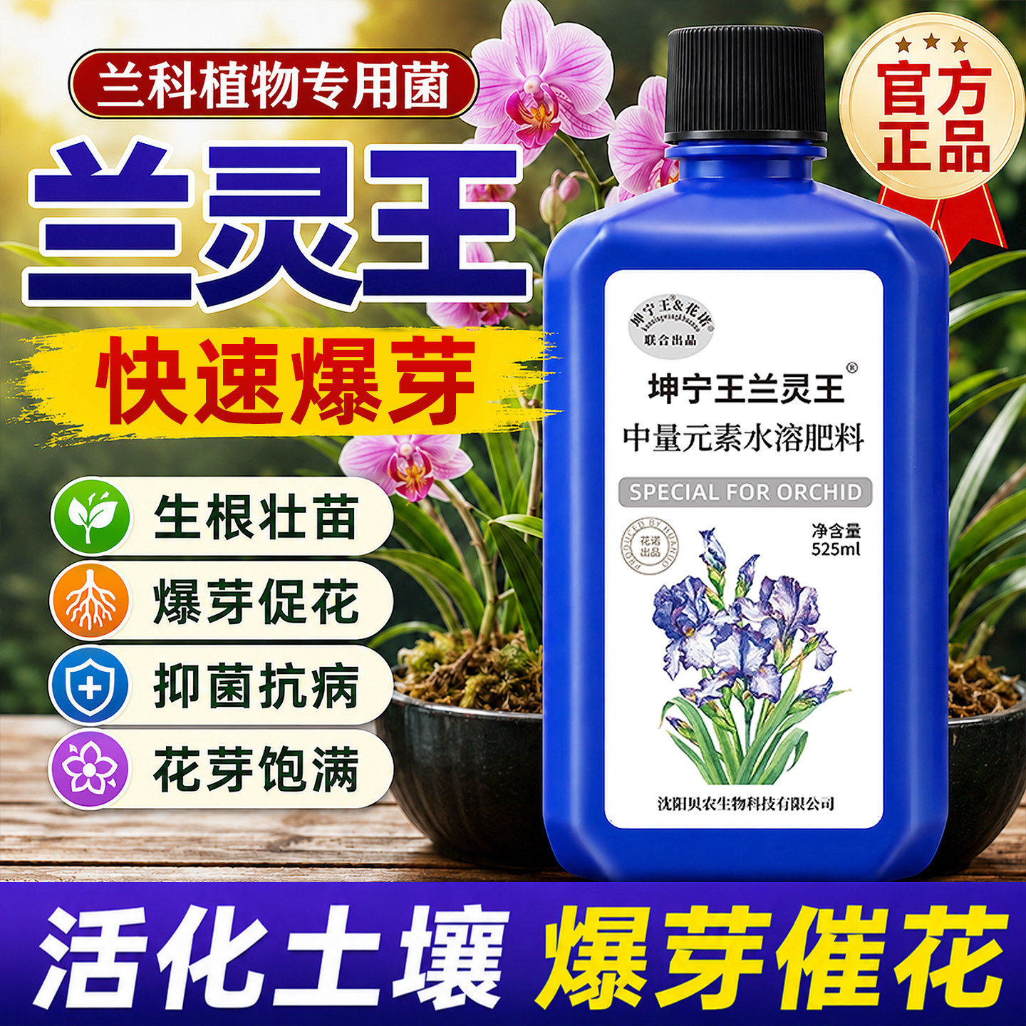 兰灵王兰花专用肥料微生物杀菌图片