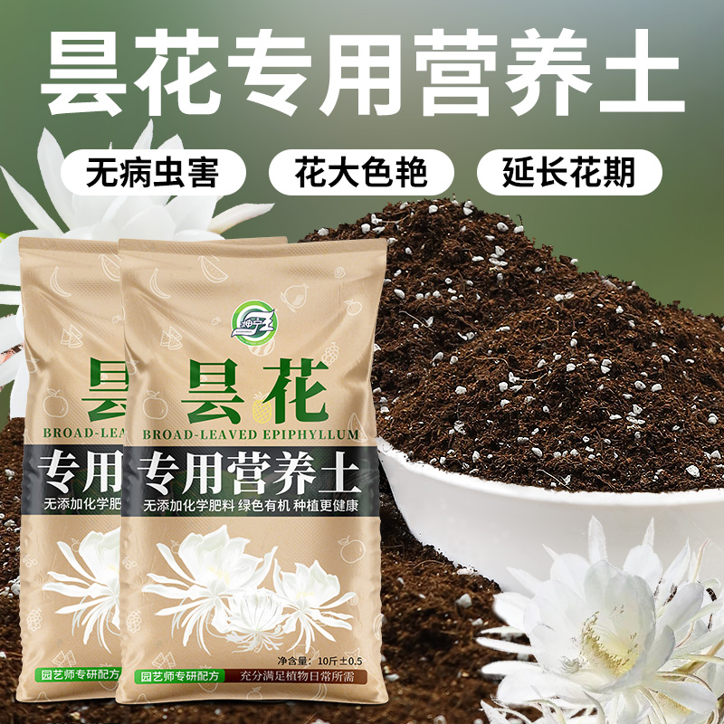 昙花专用土营养土昙花专用肥料专用花土壤橡皮树土养花种植土泥土-封面