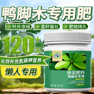 鸭脚木肥料专用复合肥鹅掌柴鸭掌木绿植盆栽叶子发黄专用控释肥