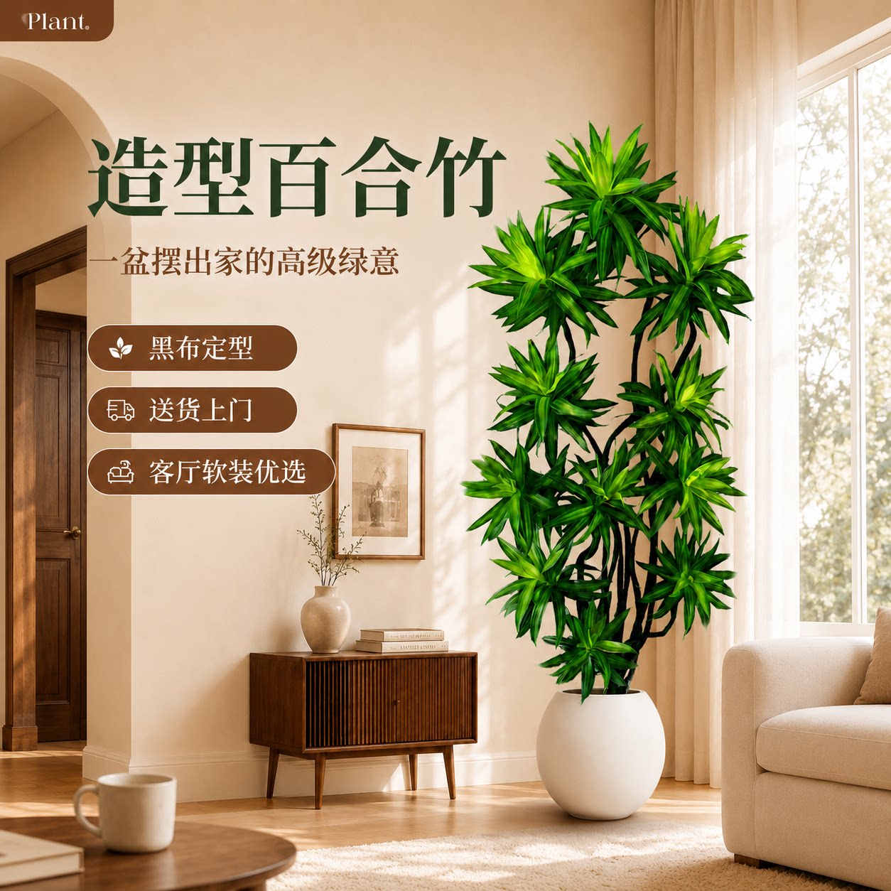 客厅轻奢好养金心百合竹盆栽图片