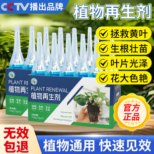 植物再生剂浓缩营养液绿植花卉盆栽通用型多肉花卉发财树专用肥料