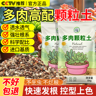 多肉专用营养土壤颗粒土植物种植土小苗老桩颗粒花土养花通用泥土
