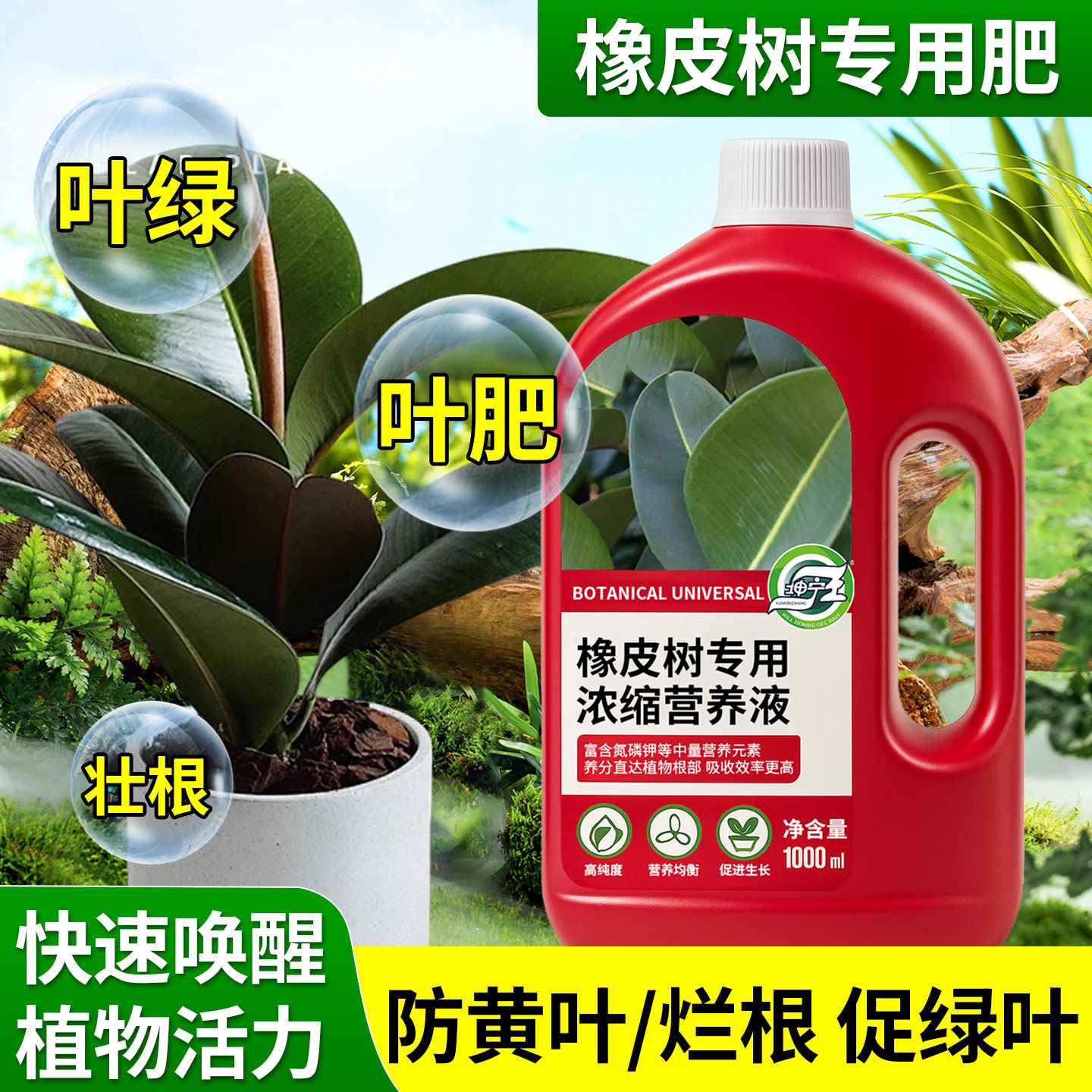 橡皮树专用浓缩营养液促生长护根图片