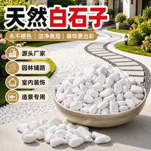 白石子白色大鹅卵石户外庭院铺路铺地小白石头石子造景景观石颗粒