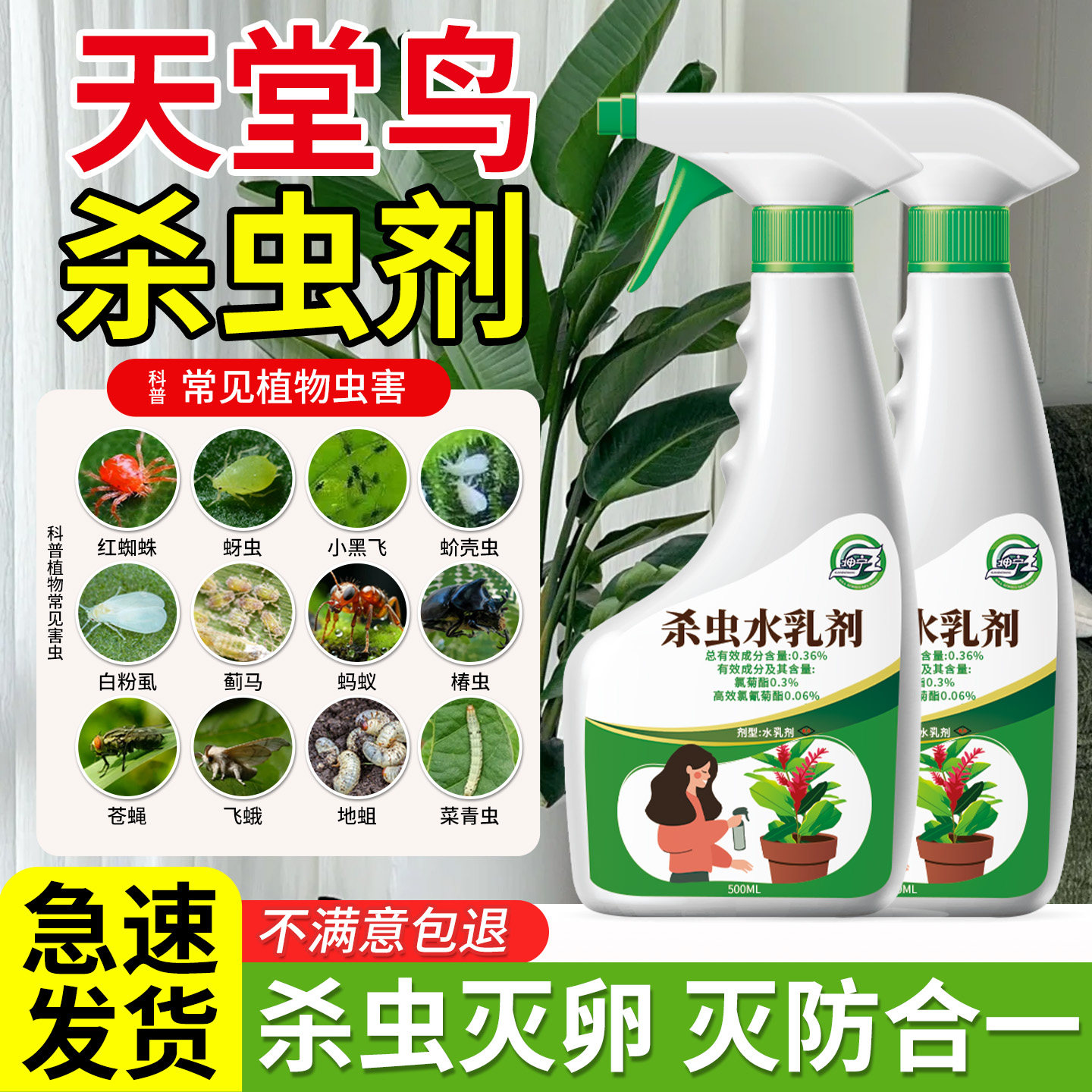 天堂鸟杀虫剂除虫蚧壳虫药非专用驱虫生介壳打虫长鹤望兰灭虫子用