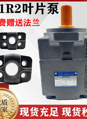 PV2R1叶片泵PV2R1-19液压泵总成PV2R1-23/液压油泵齿轮泵配件大全
