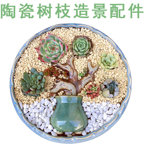多肉植物陶瓷园艺用品