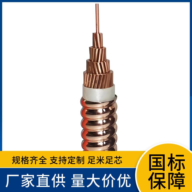 YTTW RTTZ WD-YTTWY YTTWV金属护套无机矿物质绝缘防火电缆厂家