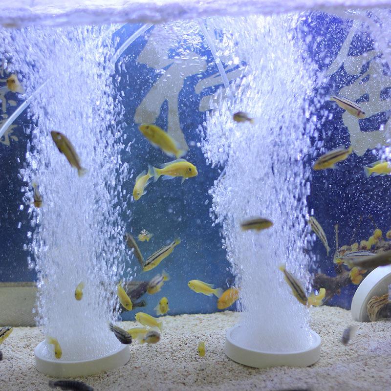 氧机气泵大型日生鱼塘水族箱LP静音大气量增氧泵卖鱼氧气泵鱼池打