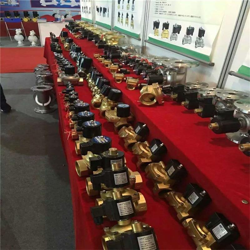 2W160-15 2W200-20 2W250-25 2W350-35 2W400-40 2W500-50电磁阀