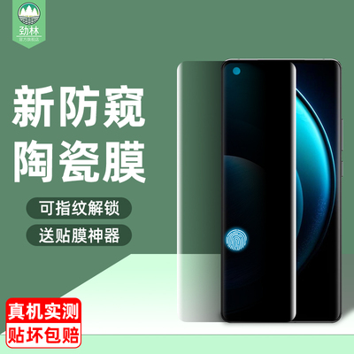 vivox100陶瓷膜防偷窥全屏