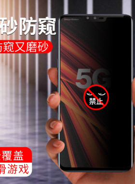 lgv40防窥钢化膜满版电竞游戏