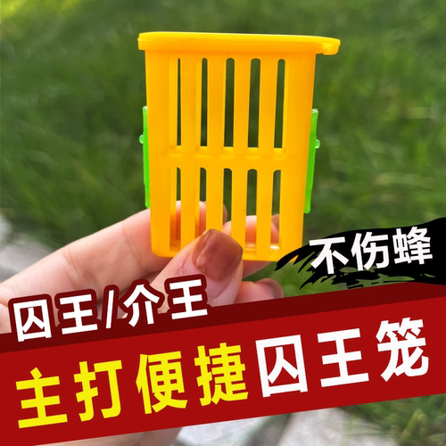 多功能王笼囚王笼中意蜂关蜂王控王介王控王笼防蜂群飞逃养蜂