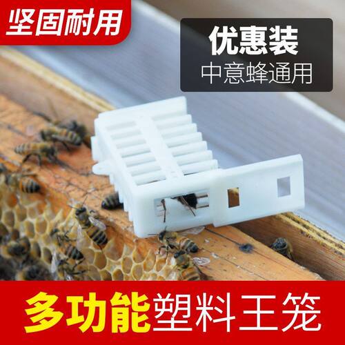 蜂王笼多功能塑料王笼包邮蜜蜂王笼囚王笼中蜂专用囚蜂王养蜂工具