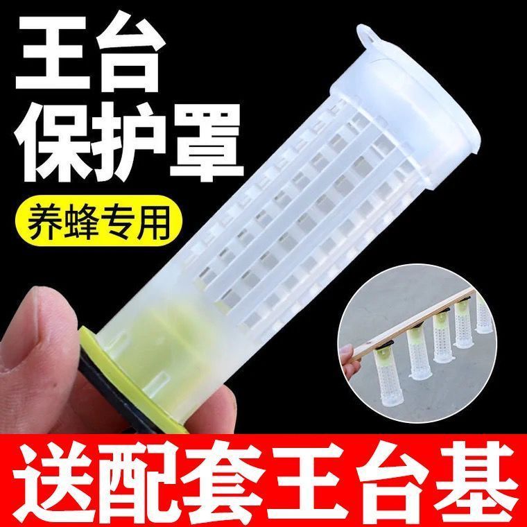 蜜蜂王台保护罩塑料护台王笼中意育王专用防啃咬养蜂工具送王台基