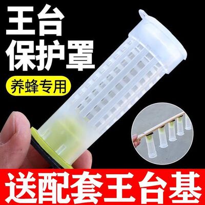 蜜蜂王台保护罩塑料护台王笼中意育王专用防啃咬养蜂工具送王台基