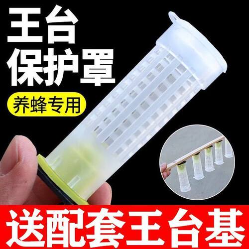 蜜蜂王台保护罩塑料护台王笼中意育王专用防啃咬养蜂工具送王台基