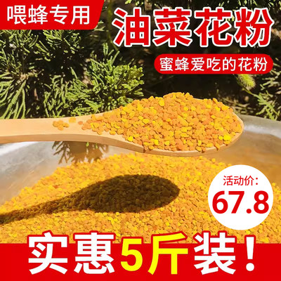 油菜花粉包邮5斤天然颗粒养蜂