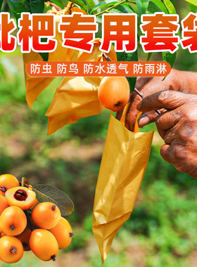 枇杷专用套袋防虫套树上的牛皮纸袋水果防鸟袋单层白色果袋保护袋