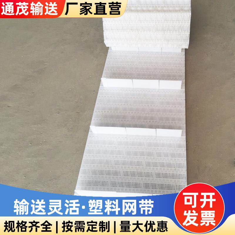 洗碗机网链塑料链条可定制食品级海鲜果蔬运输防滑尼龙网带输送带