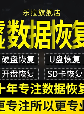 U盘相机内存sd卡文件照片数据恢复远程电脑固态机械移动硬盘修复