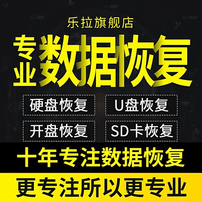 U盘相机内存sd卡文件照片数据恢复远程电脑固态机械移动硬盘修复