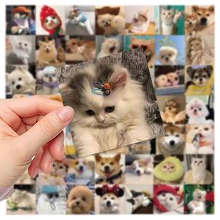 52PCS Cute Dog Cat MEME Stickers PVC Waterpoof Decals DIY La