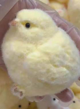 Chick Taba Squishy Toys Ultra Soft Squeeze Fidget rua泥感鸡