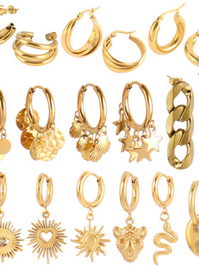 PunkStainleEagHoopFWo