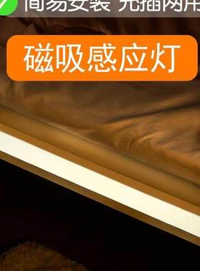 Motion Sensor LED Night Light USB Rechargeable Lamp感应灯