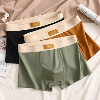 3pcs Men Underwear Cotton BoxerShorts Hombre Panties Man Bre