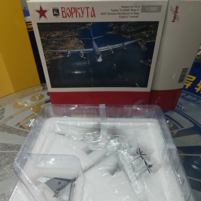 Herpa 1:200 俄罗斯空军  图-95MS