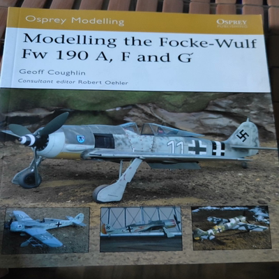 欧洲 Focke-Wulf Fw190 飞机模型涂装手册Modelling the Focke-