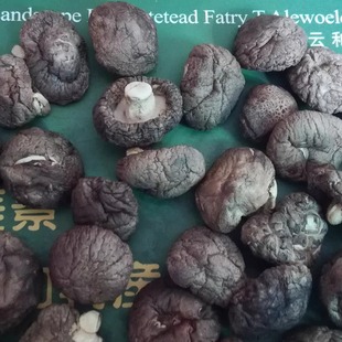 香菇小香菇 干货新货500g云和梯田特产蘑菇无根肉厚